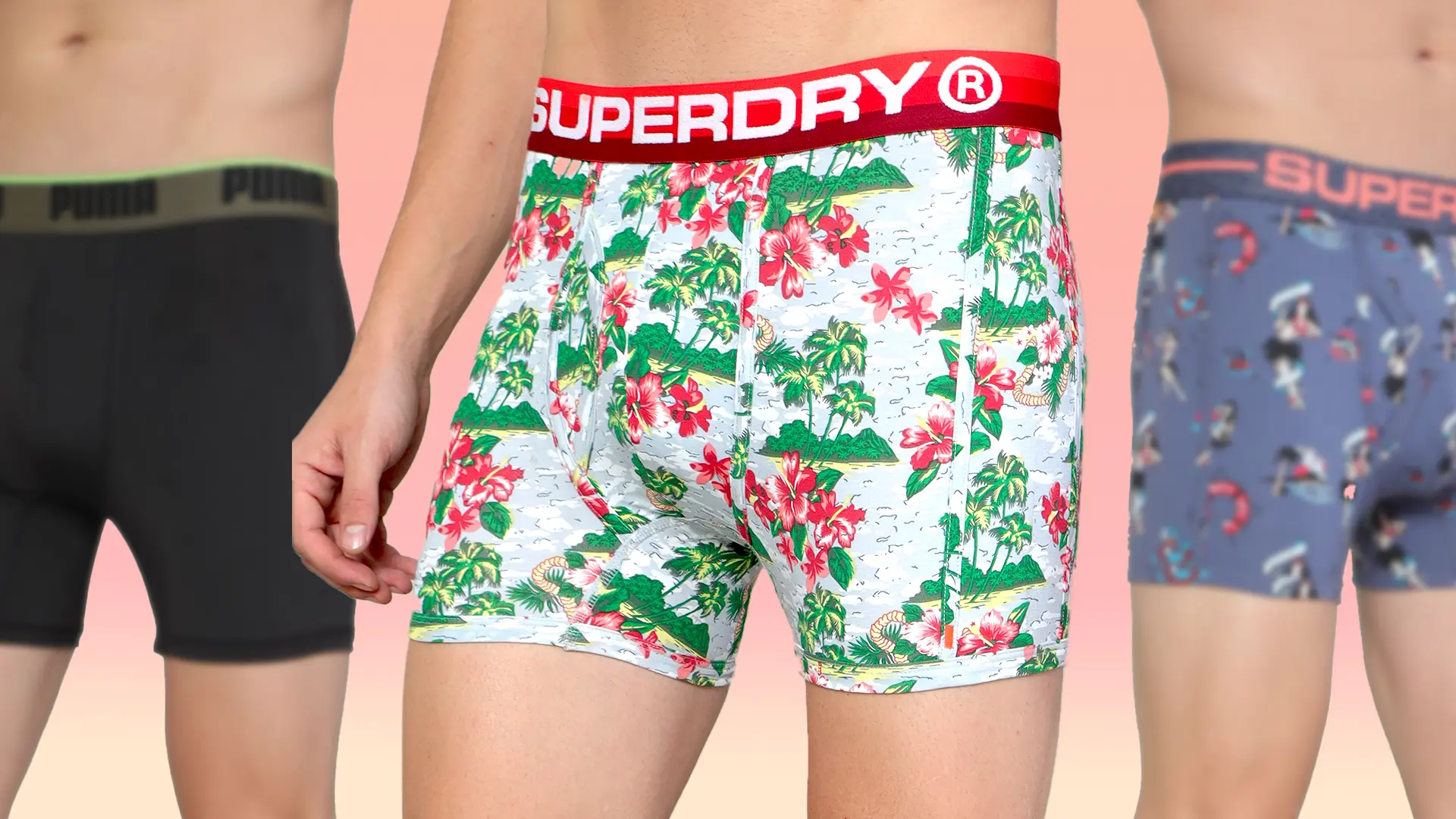 Inner wear and Lounge